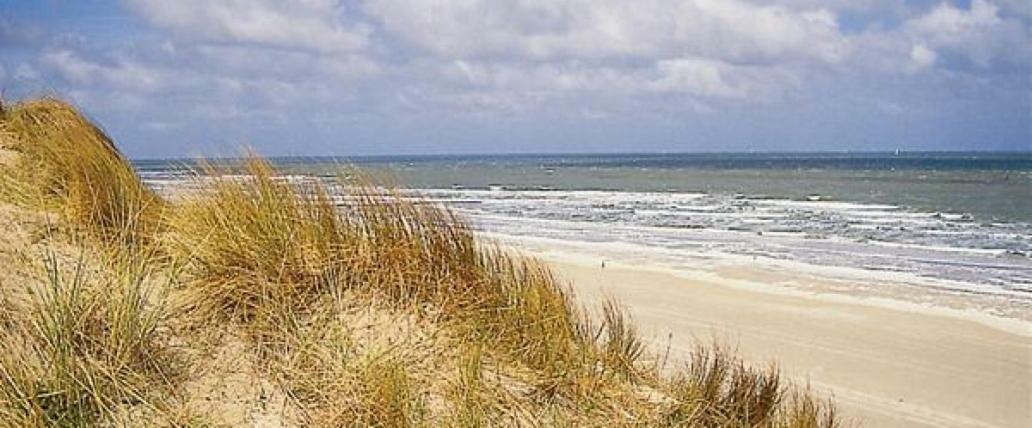 Plaza * De Panne